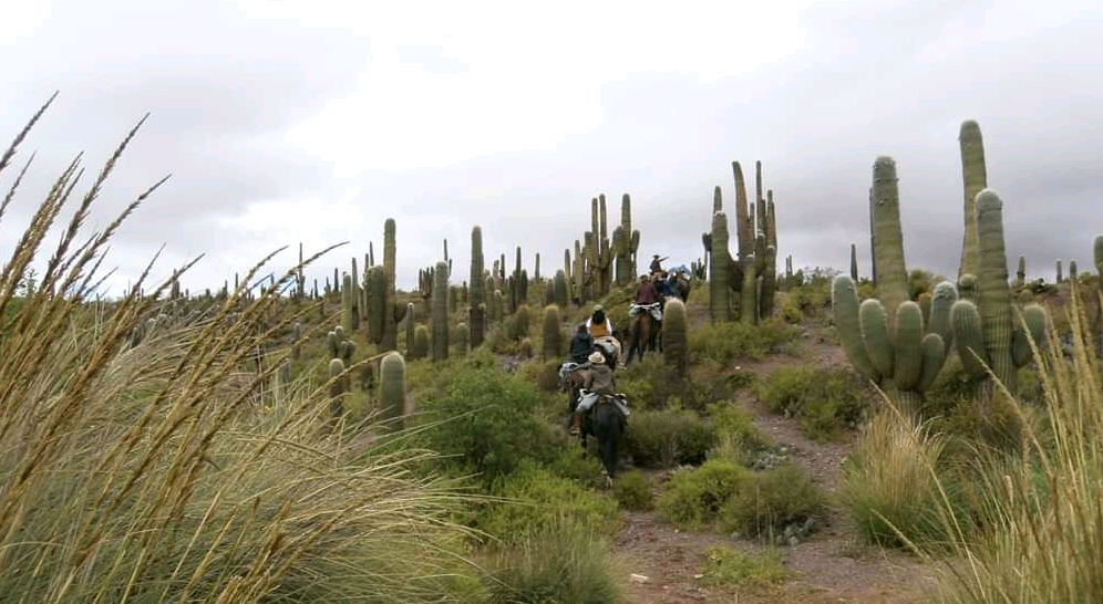 Circuito: Cabalgata Yalasguala